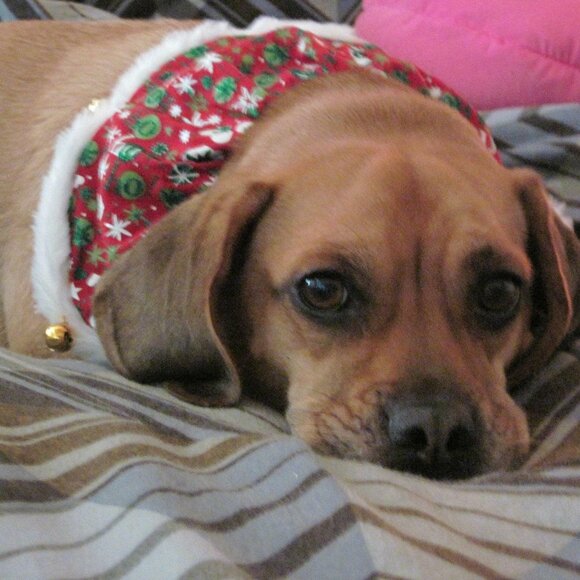 Meet your Posher, Carrie - Picture 10 of 13